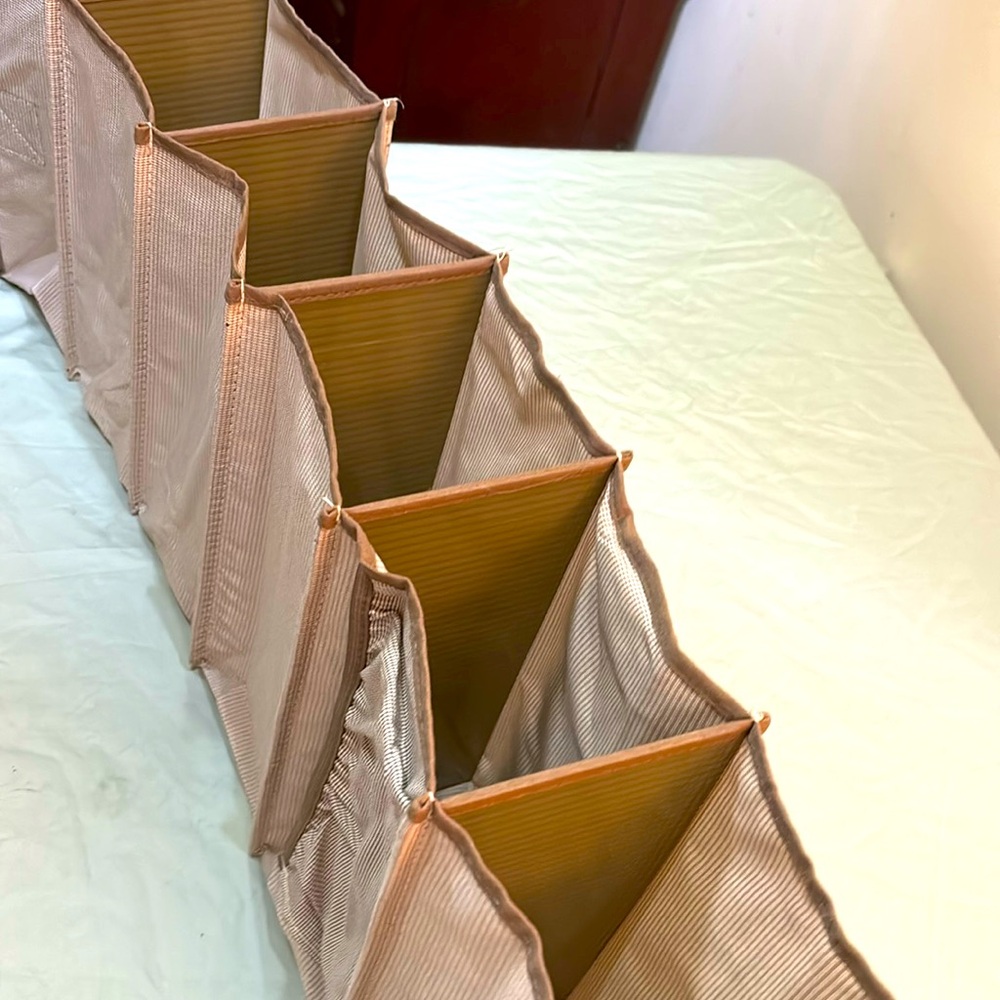 Shoe ( closet organizer)